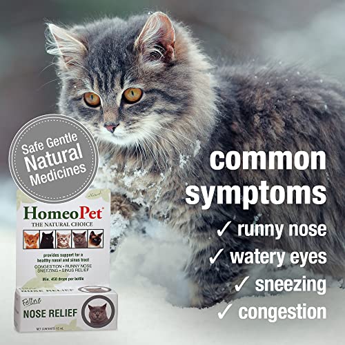 Natural Nasal and Sinus Medicine for Cats, 15 Milliliters E397390
