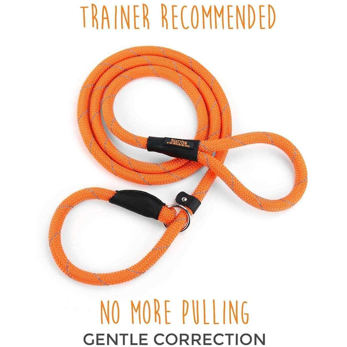 Slip Rope Dog Leash E105036