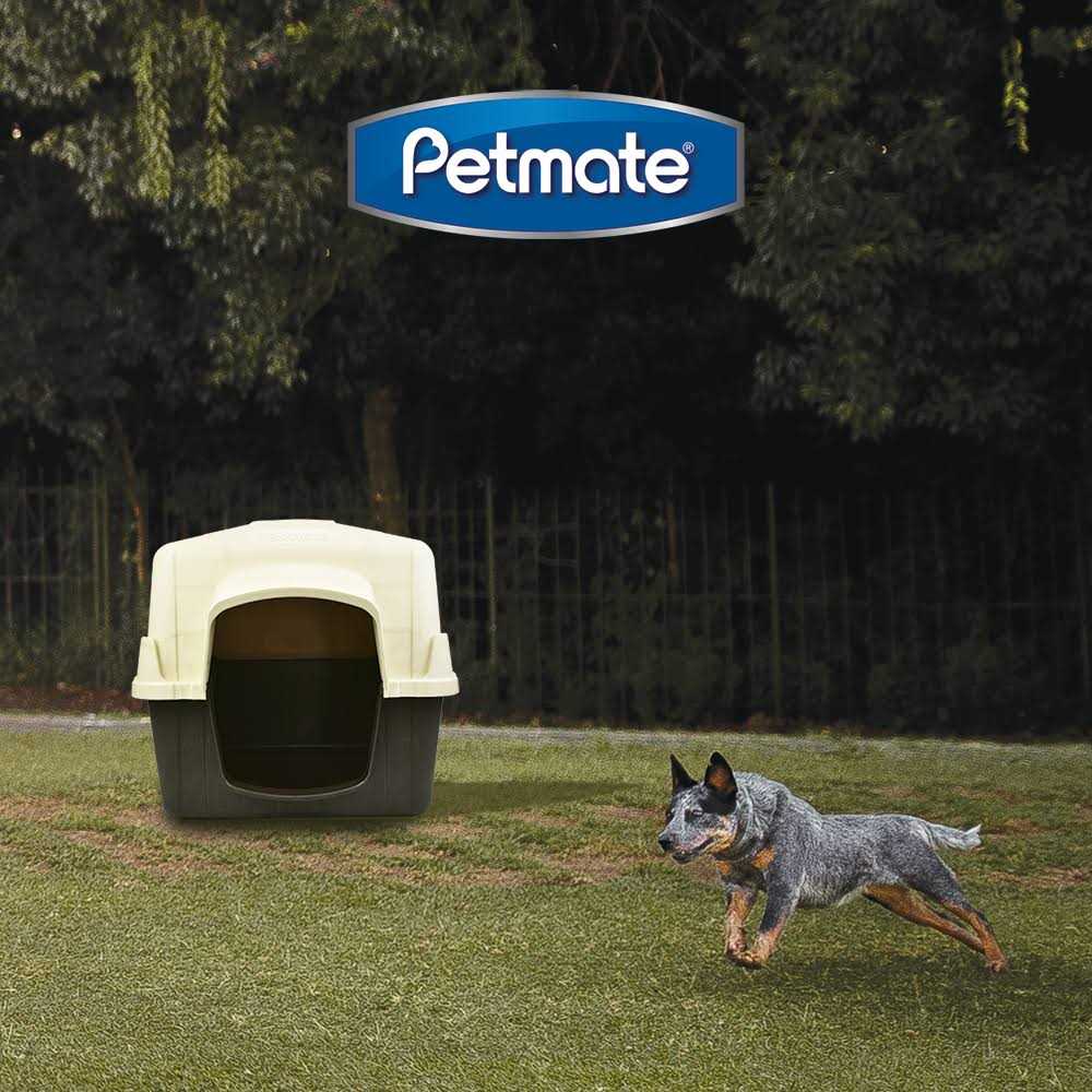 Dog House N921442