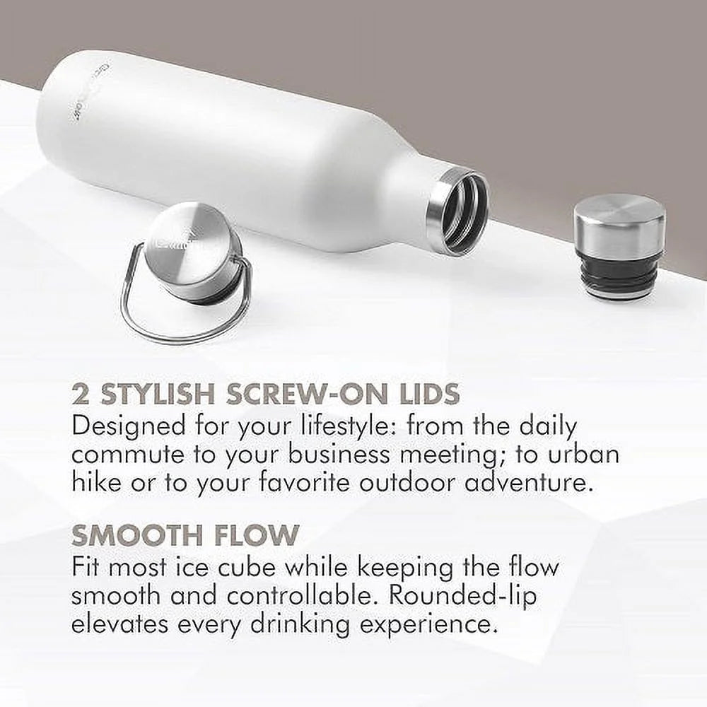 21oz Stainless Steel Water Bottle with 2 Lids C5053