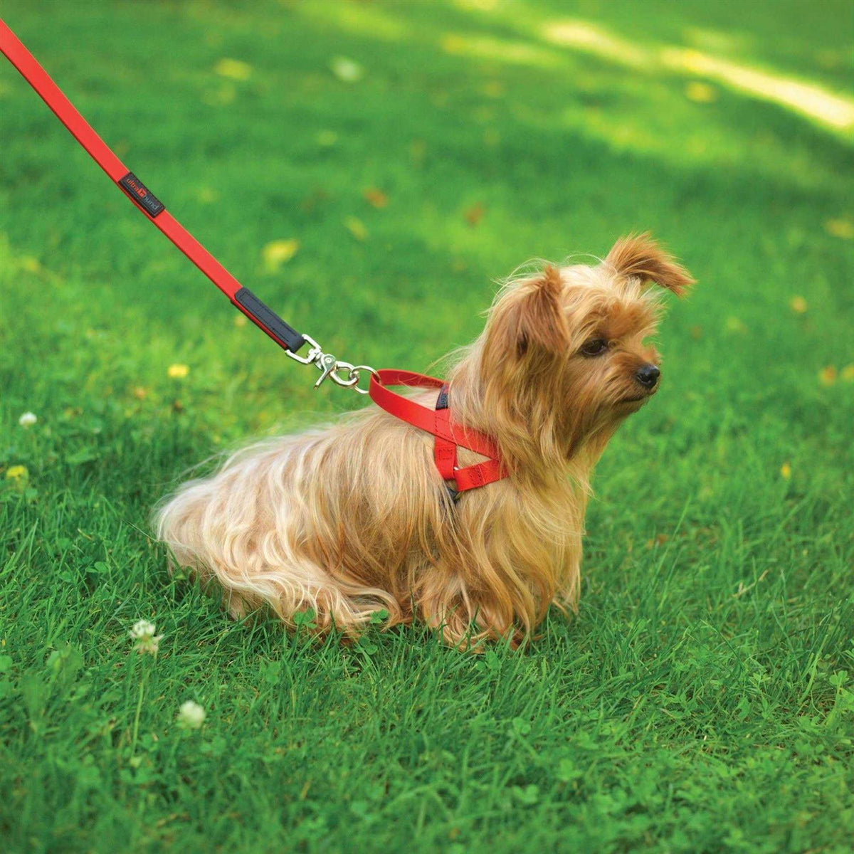 Harness I4553
