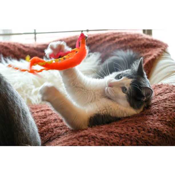 Worm Teaser Wand Cat Toy M158