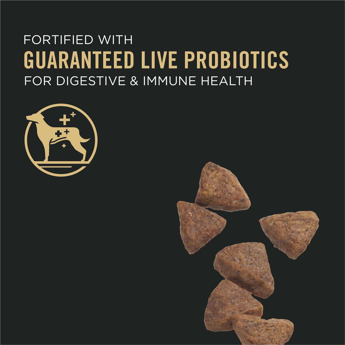 Oat Meal Formula Dry Dog Food P94192