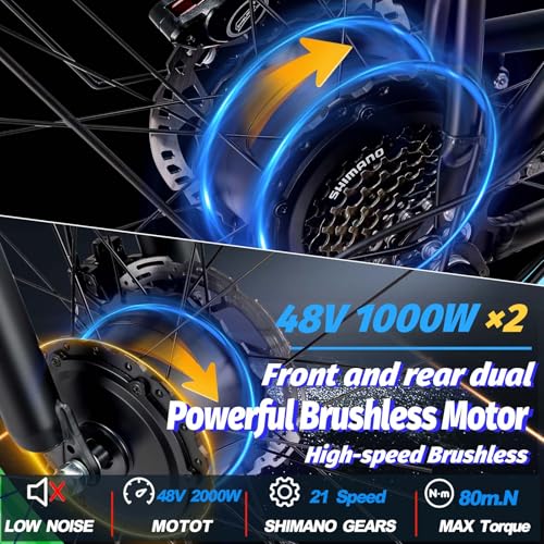 2000W Electric Bike with 48V 20AH Battery 26x4.0 Fat Tire Mountain E Bike Dual Motor 21-Speed Dual Hydraulic Disc Brake B71101