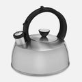 Stovetop Kettle Y310