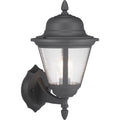 Black 16 inch Outdoor Wall Lantern with Clear Seeded Glass I543363