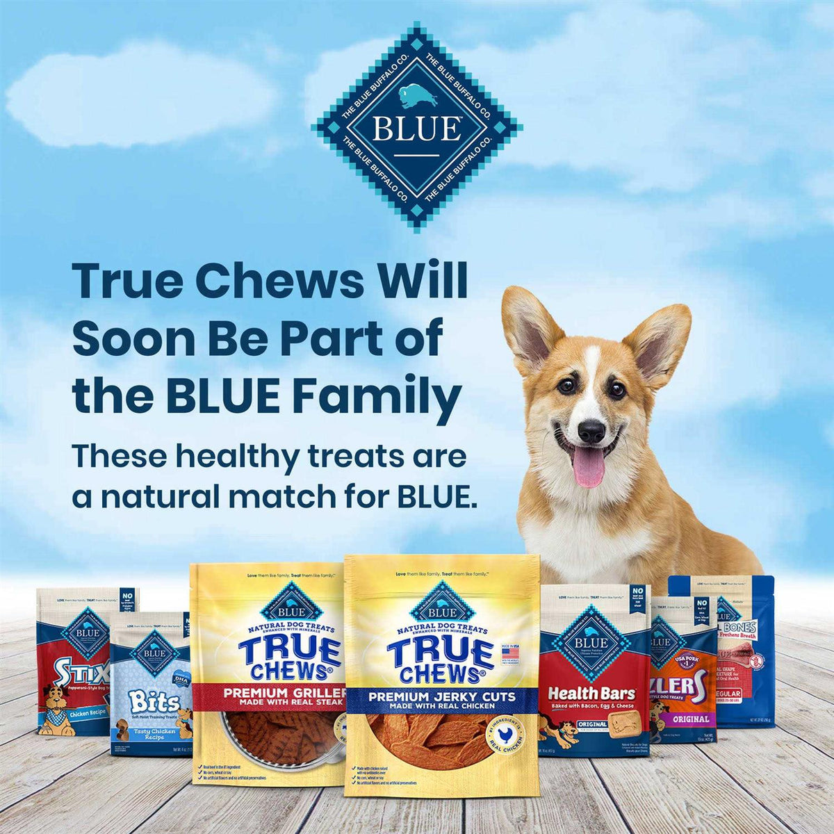 Premium Jerky Cuts Dog Treats J476