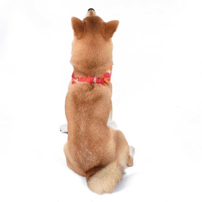 Dog Harness for Large Dogs No Pull Dog Harness Vest K230100