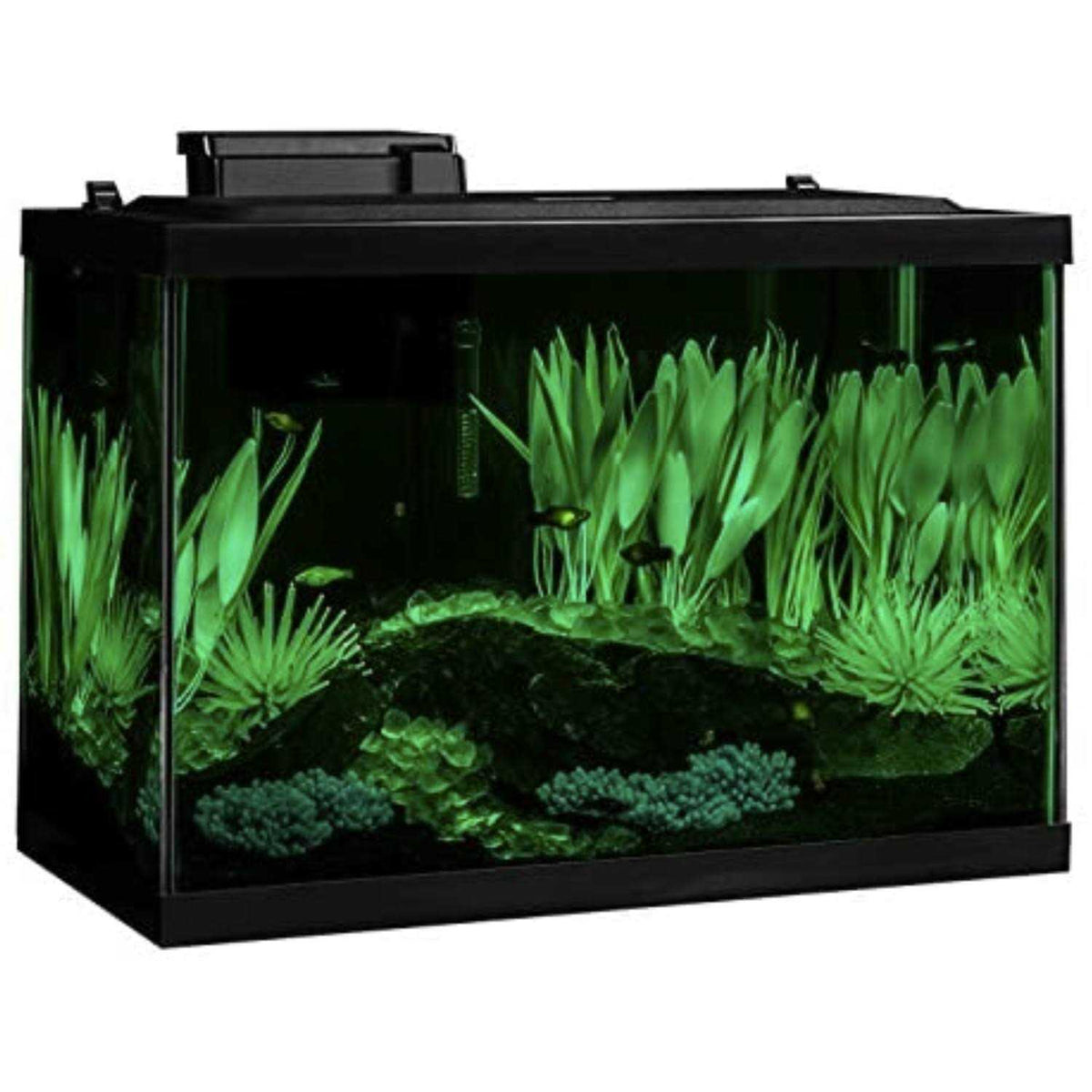 20 Gallon Fish Tank Kit with LED M784130