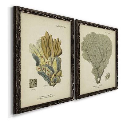 Ecru Coral Framed Print P130