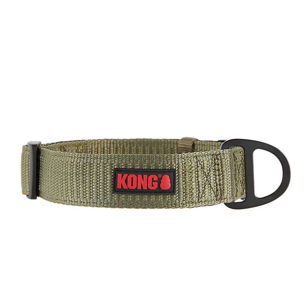 Dog Collar U479879