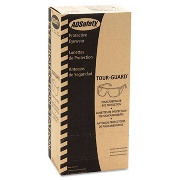 Clear Frame Safety Glasses, 20/Box O45349