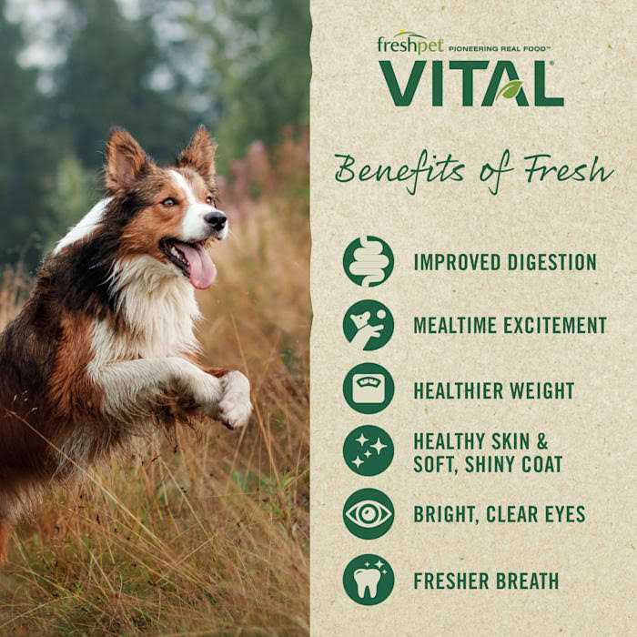 Grain-Free Chicken Pet Food U156