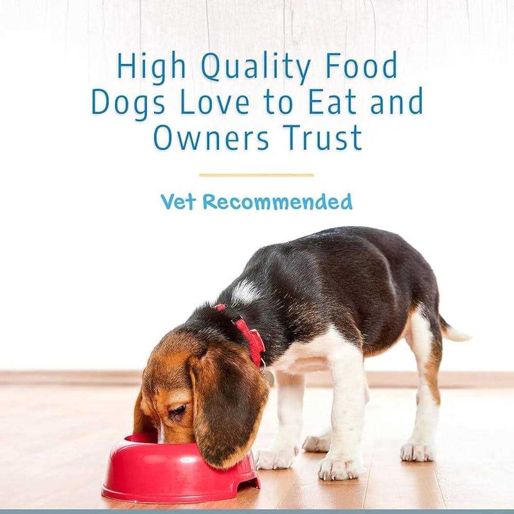 Dry Dog Food R80537