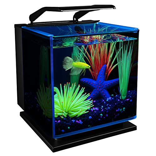 Betta Shadowbox Aquarium Kit X36994