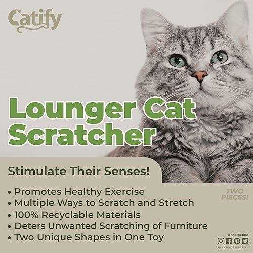Catify by Best Pet Supplies F545610