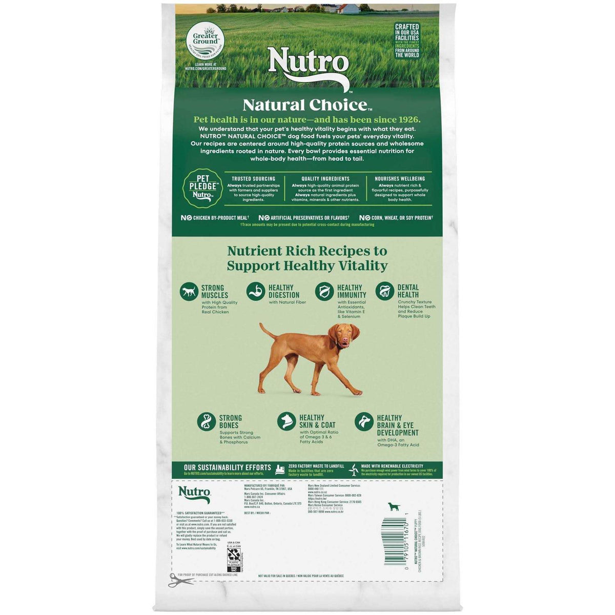 Chicken & Brown Rice Puppy Dog Food S55819