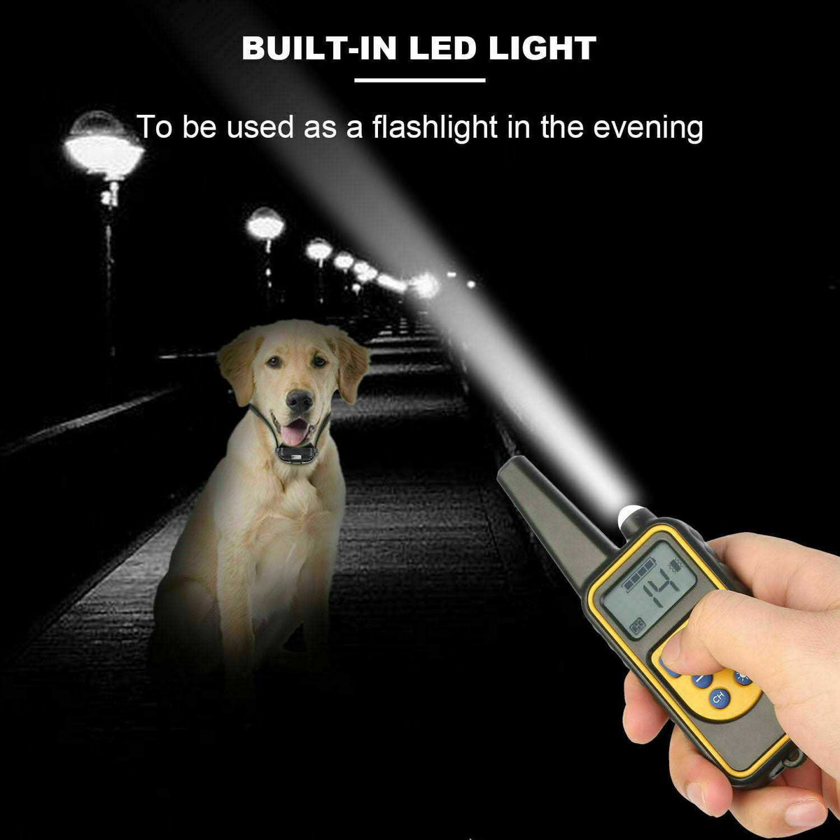 Dog Training Collar W996