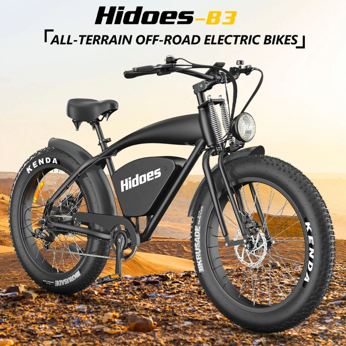 1200W Electric Bike with 26in. Fat Tire E880