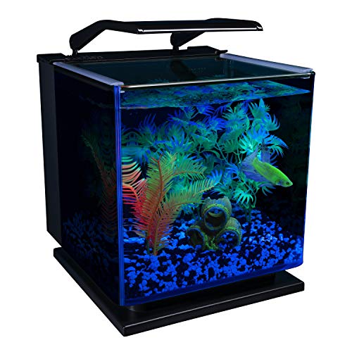 Betta Shadowbox Aquarium Kit X36994