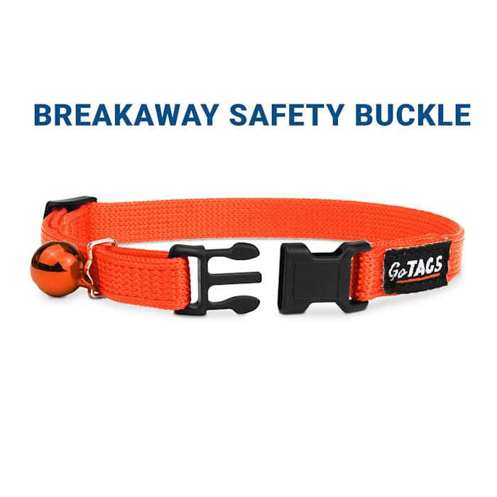Nylon Personalized Breakaway Cat Collar with Bell F514188