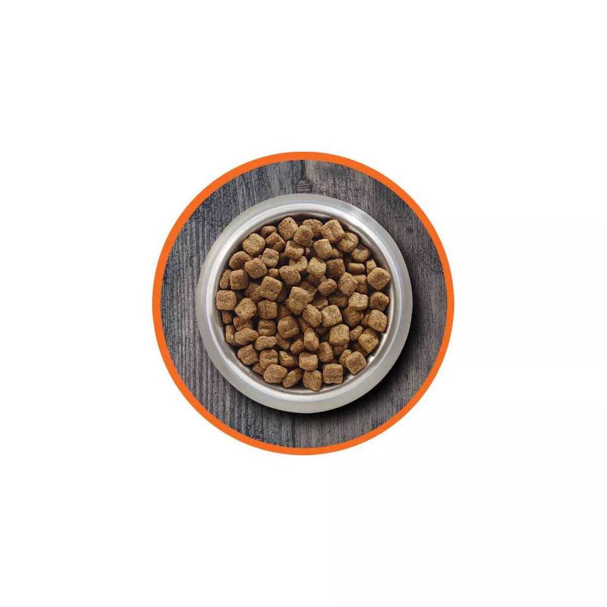 High Protein Chicken & Salmon Dry Cat Food X14268