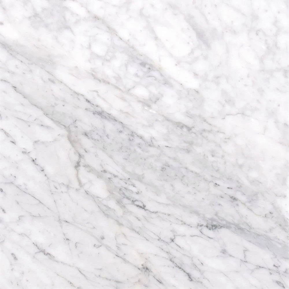 12 in. x 12 in. Polished Marble Floor and Wall Tile L1697
