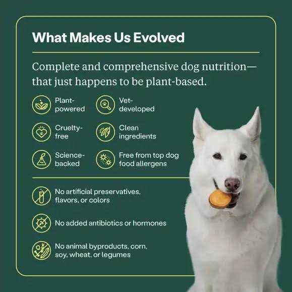 Golden Rotisserie Flavor Dry Dog Food N109
