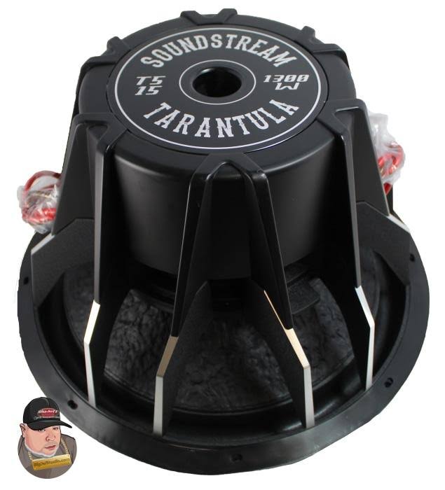 15x22 Dual 2 Ohm Car Subwoofer B65416