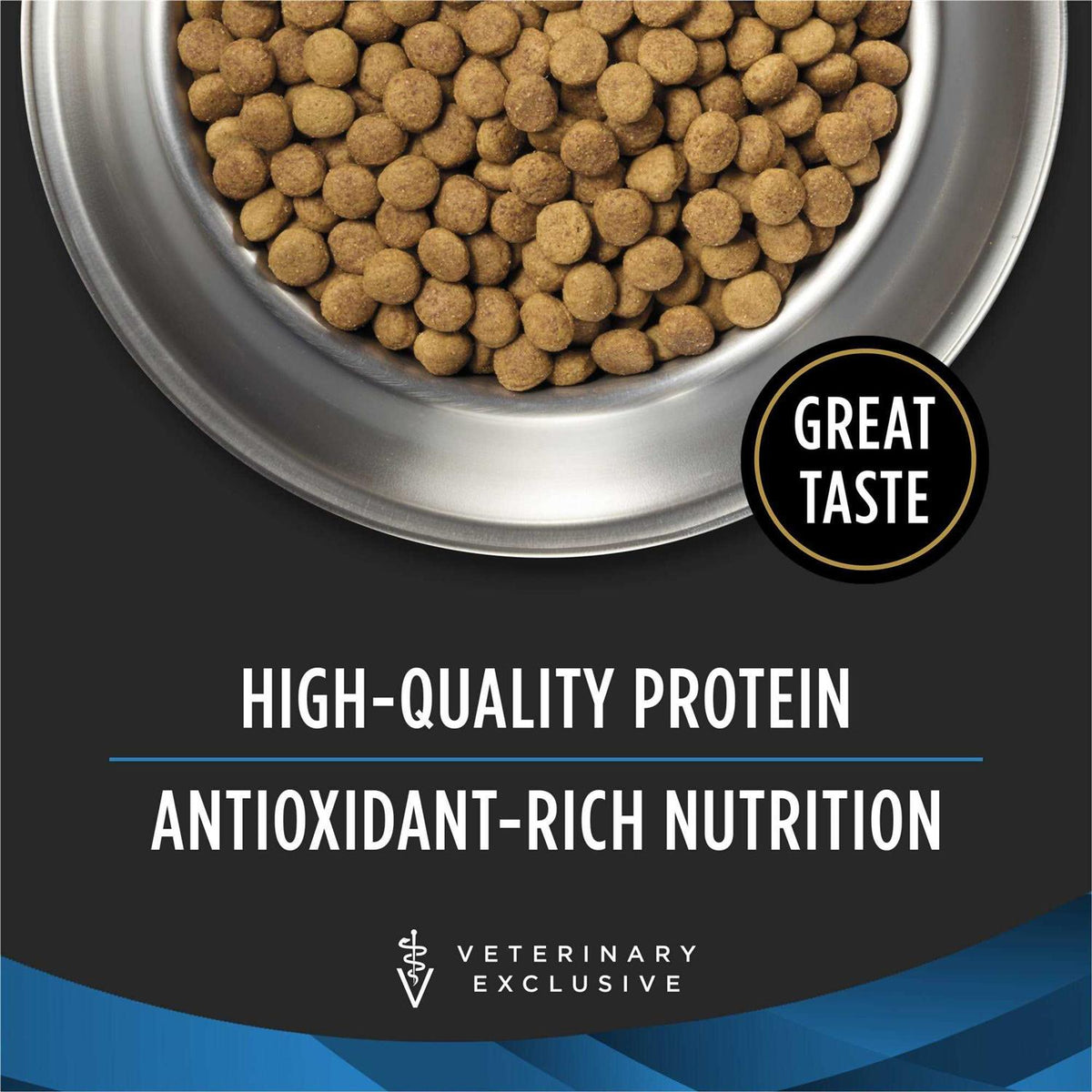 Dry Dog Food I2322