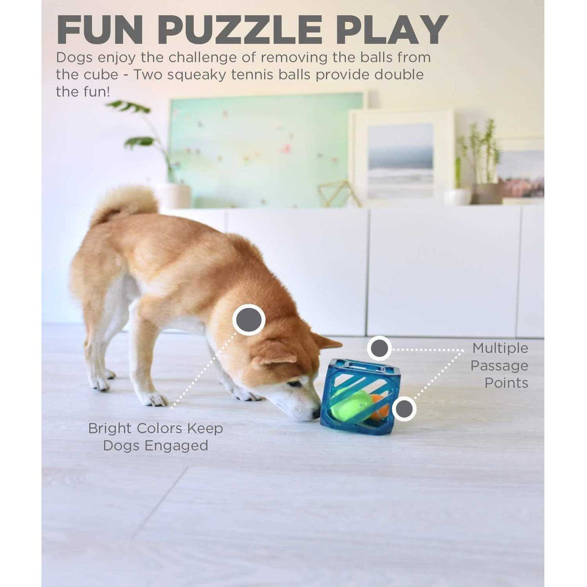 Interactive Dog Toy H277