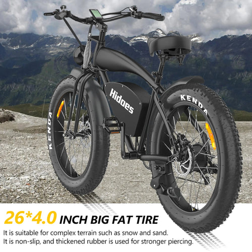 1200W Electric Bike with 26in. Fat Tire E880