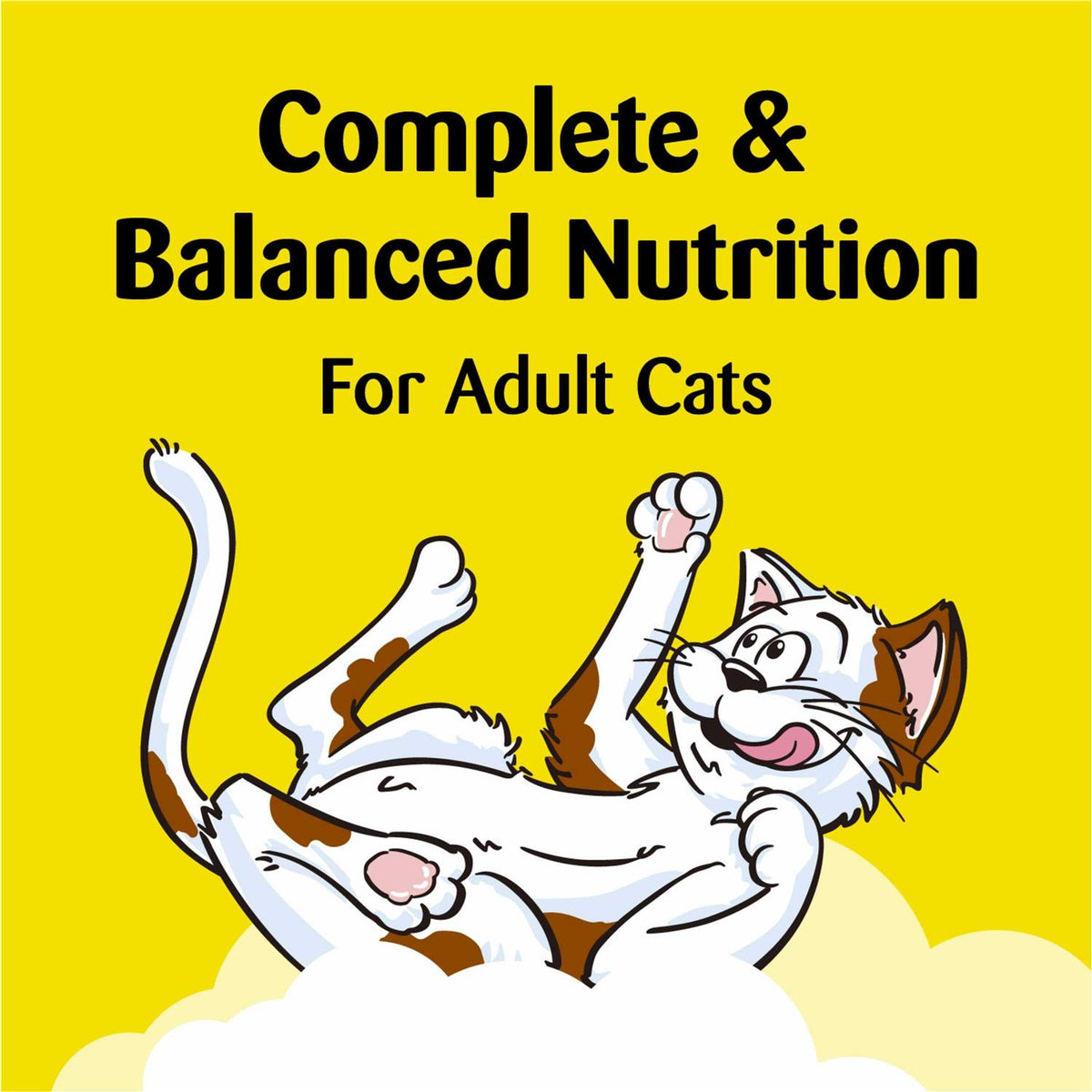 Cat Treats H51564