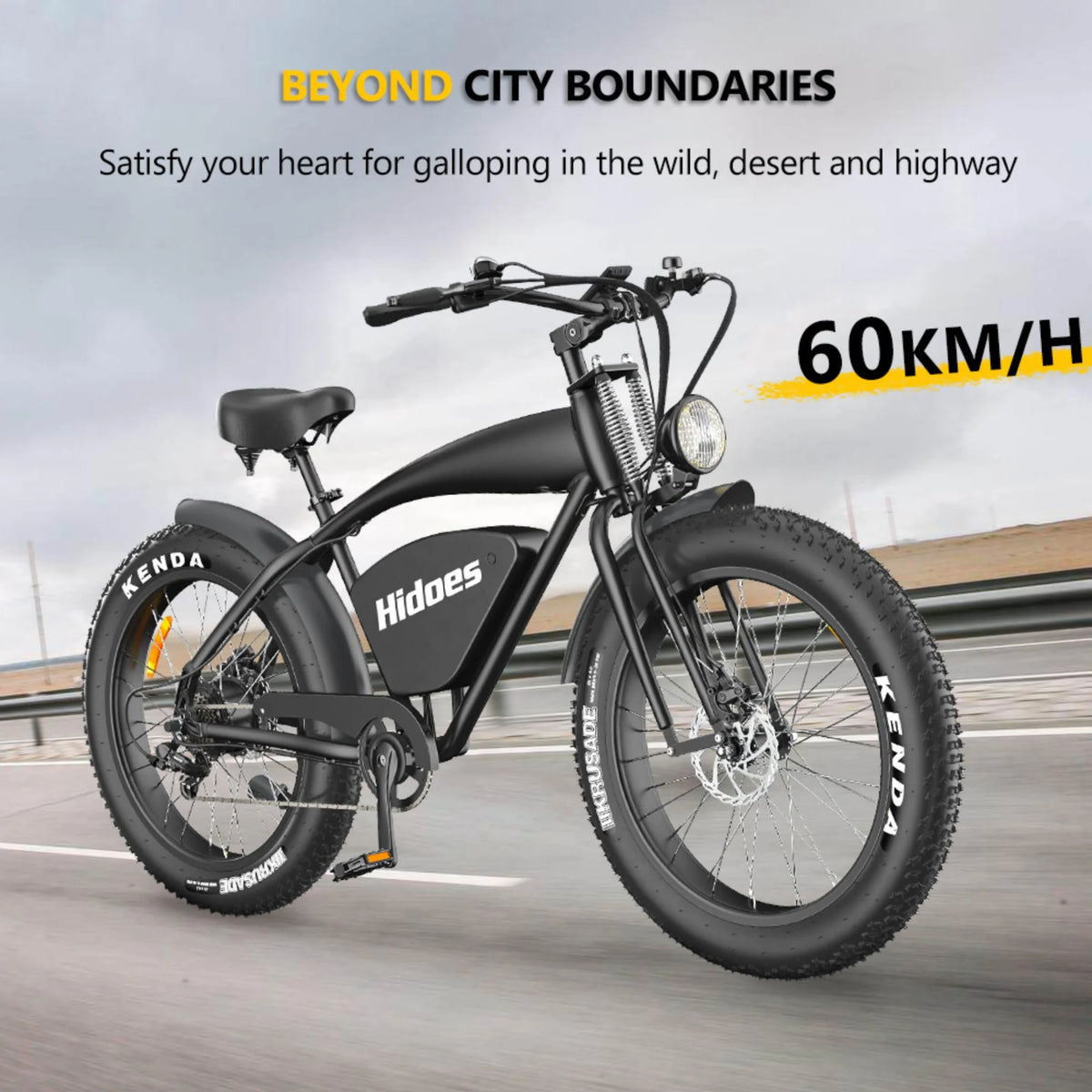 1200W Electric Bike with 26in. Fat Tire E880