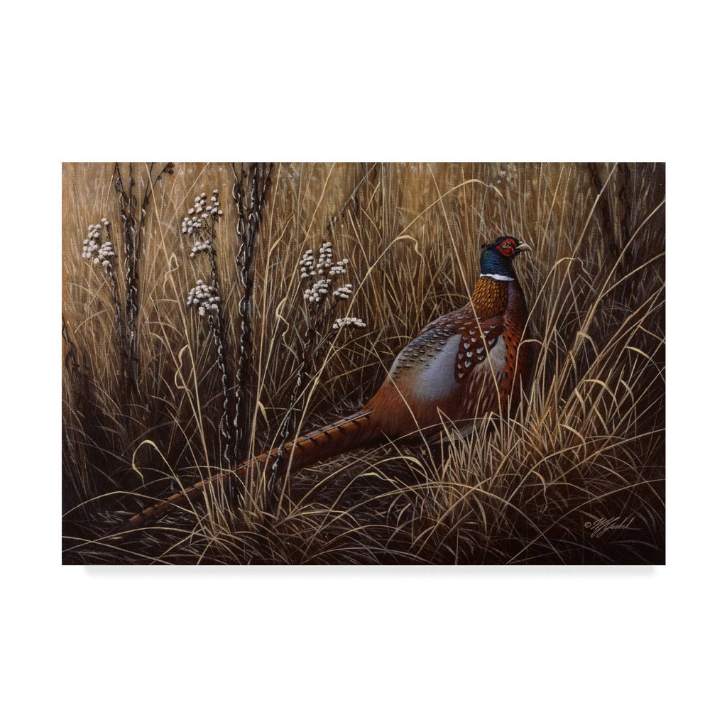 Pheasant in The Grass Art K9335