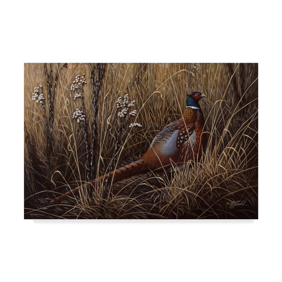 Pheasant in The Grass Art K9335