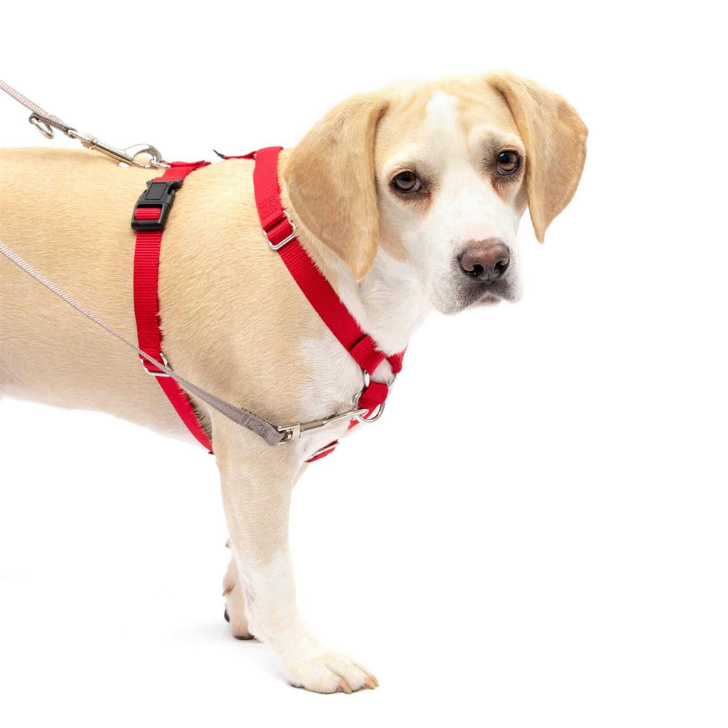 Harness Y7437