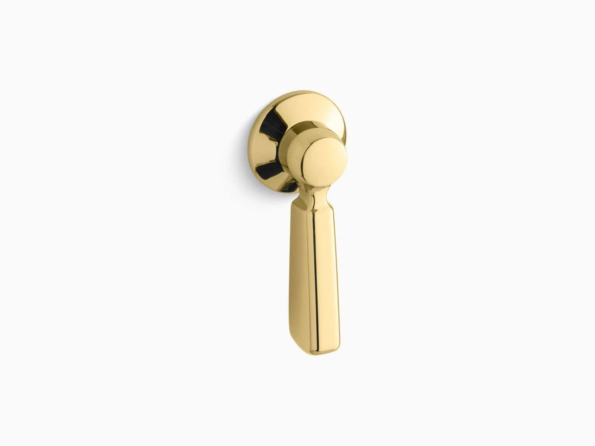 Vibrant Polished Brass Toilet Trip Lever Y836630