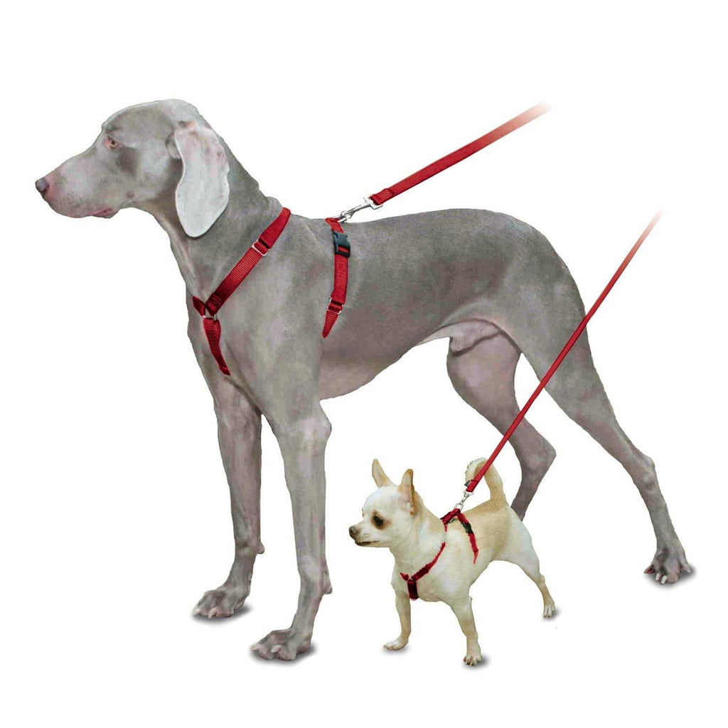 Harness Y7437