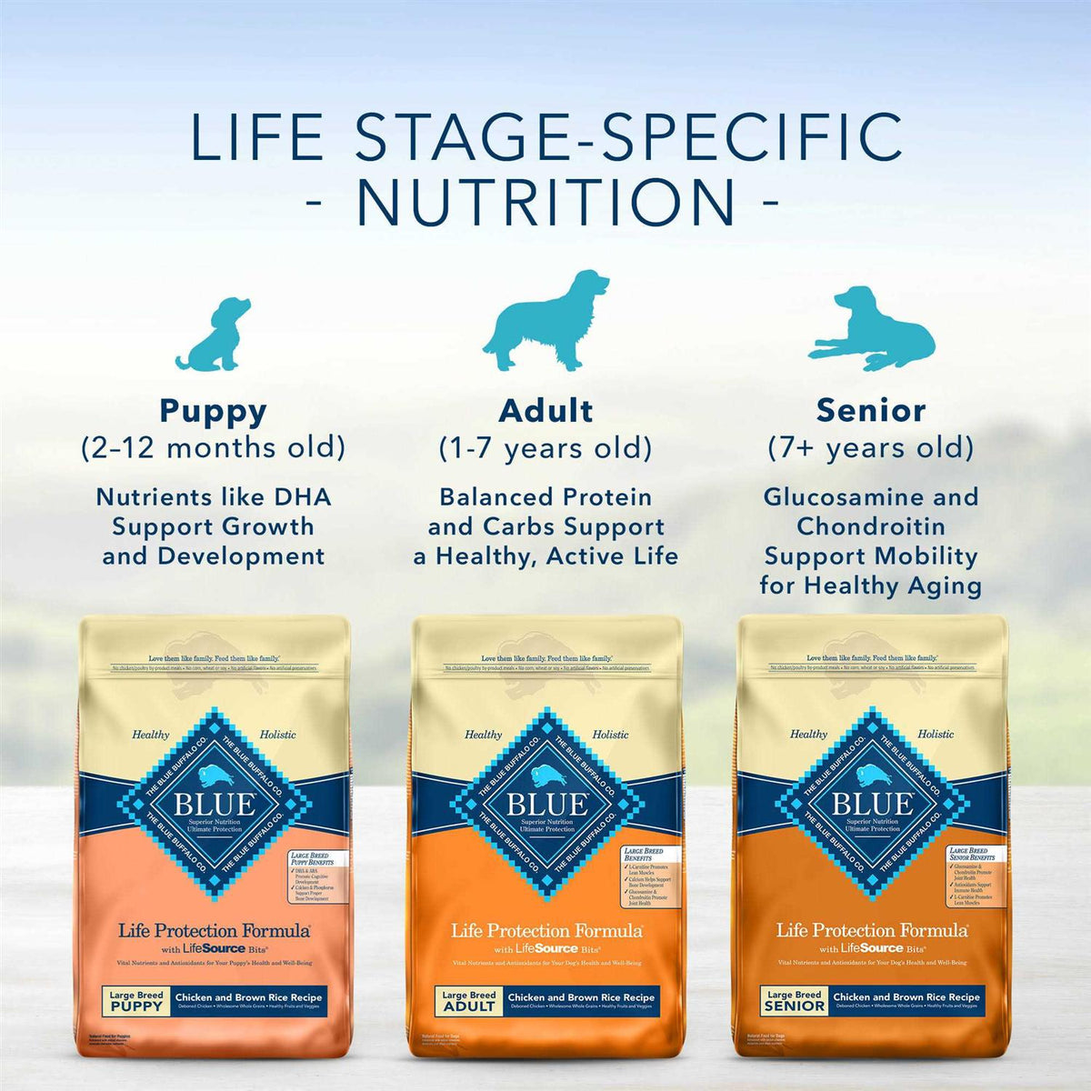 Adult Dry Dog Food H330