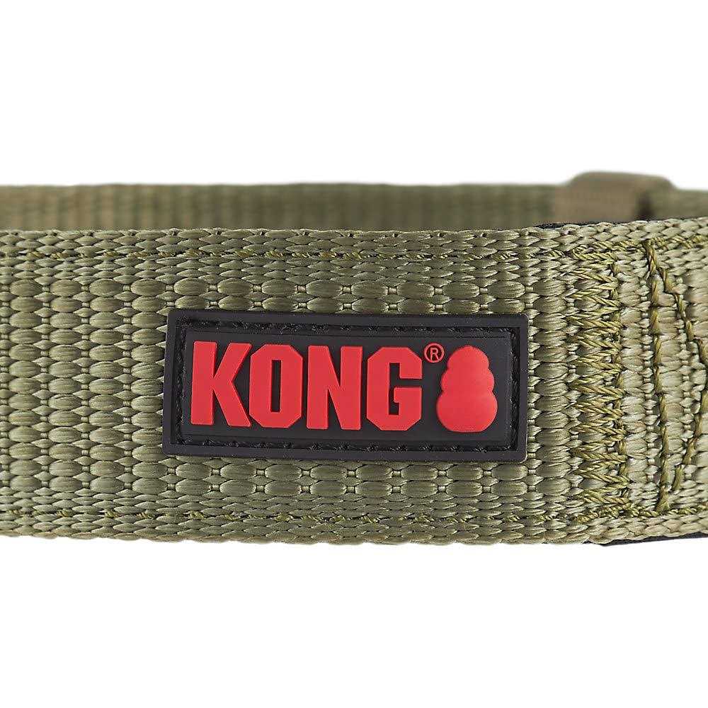 Dog Collar U479879