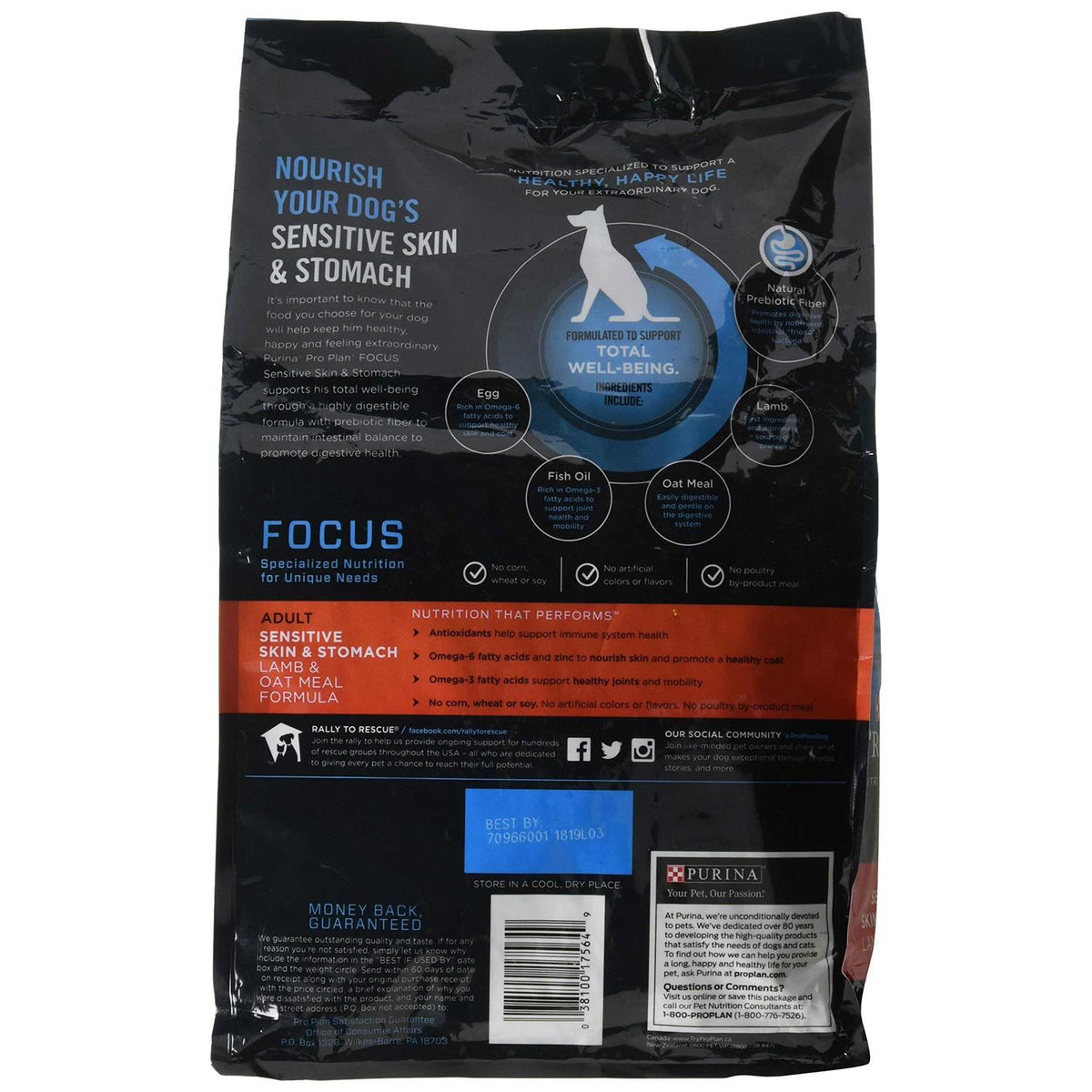 Oat Meal Formula Dry Dog Food P94192