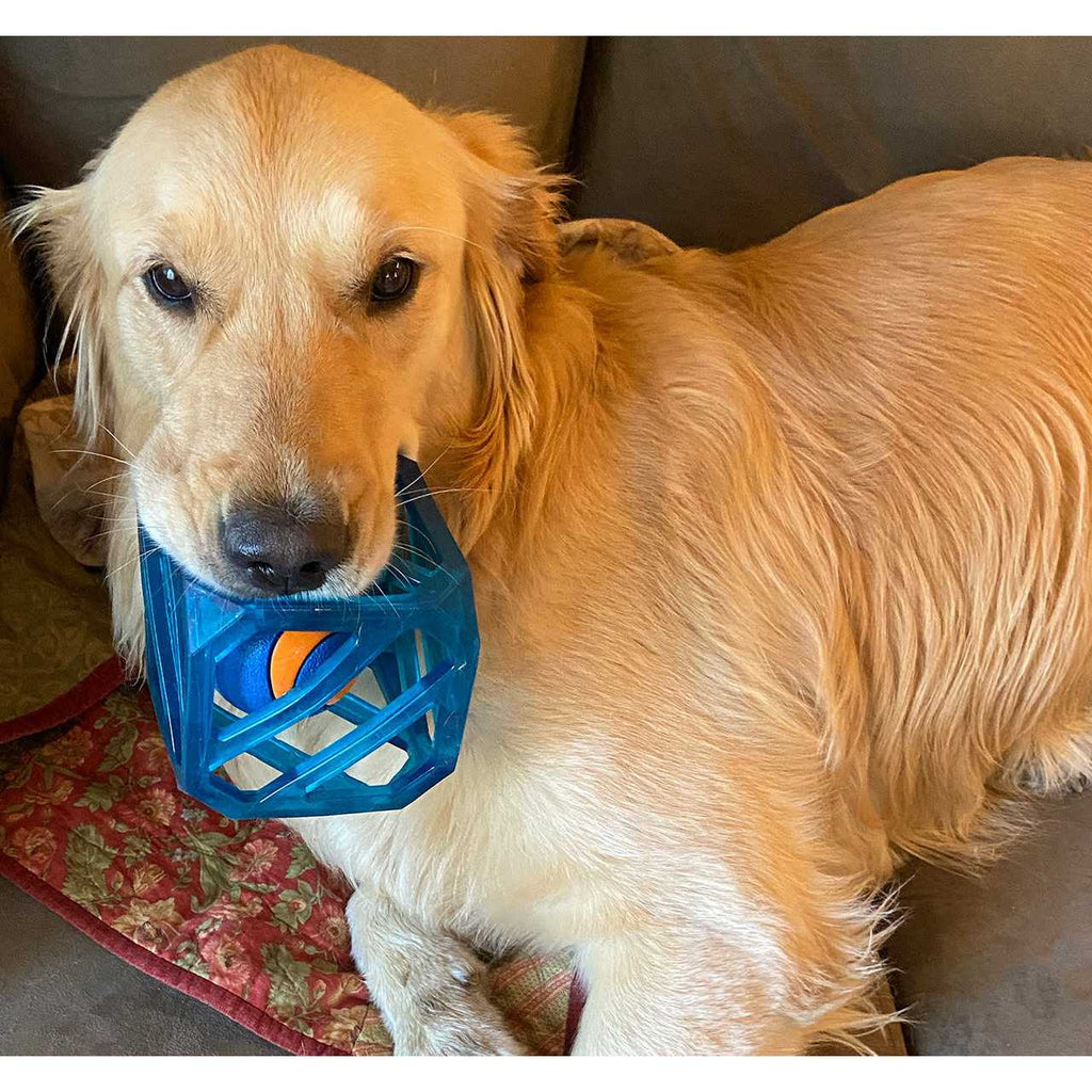 Interactive Dog Toy H277