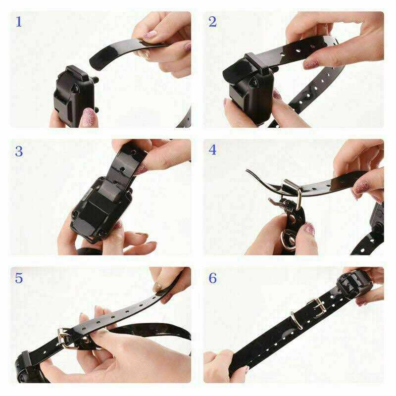 Dog Training Collar W996