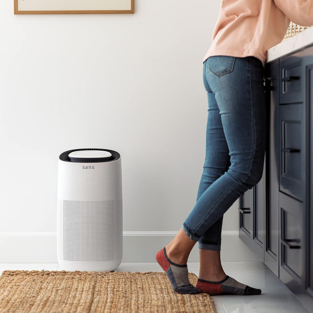 HEPA 13 Air Purifier with Pre-Filter, Activated Carbon, and UV-C Light E384820