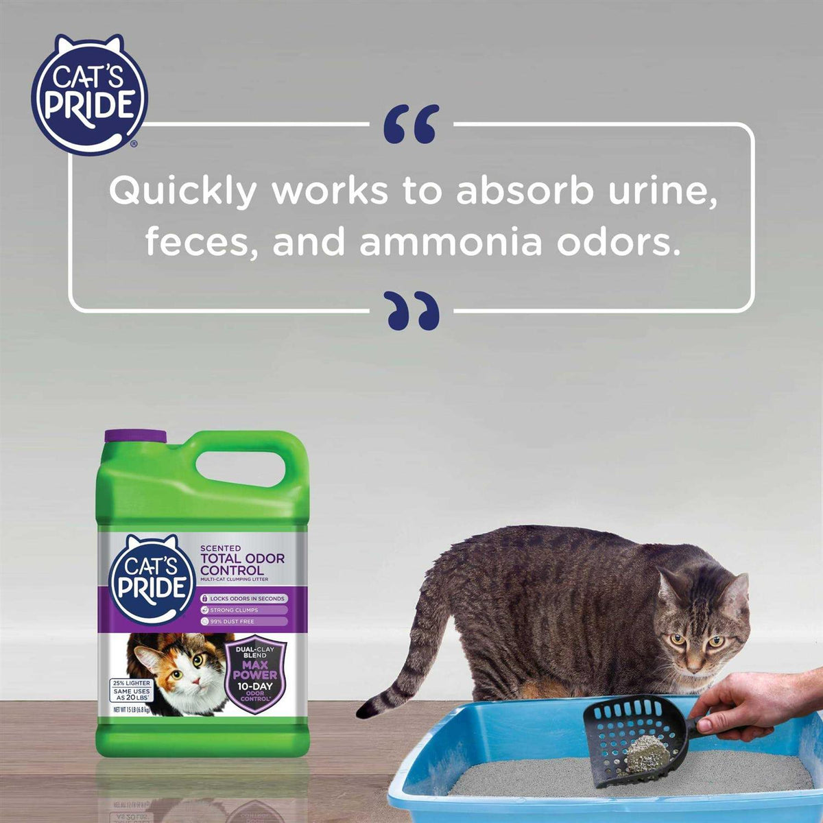 Scented Cat Litter M817