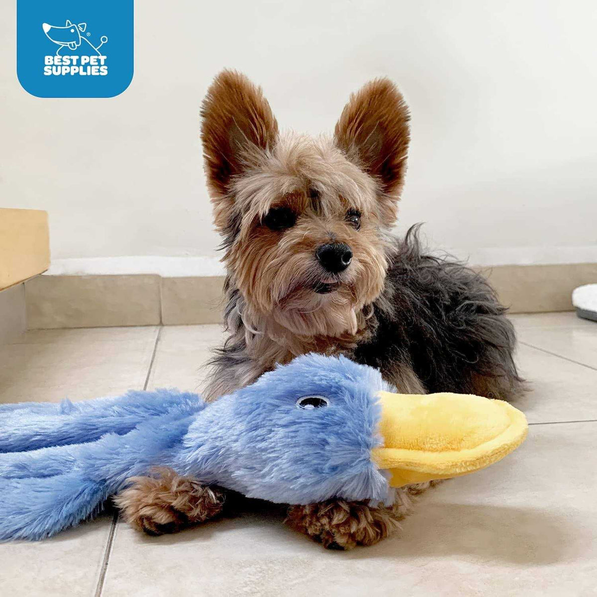 Crinkle Dog Toy No Stuffing Duck with Soft Squeaker I978