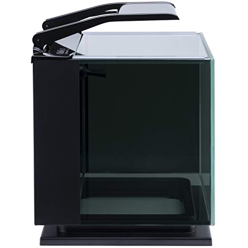Betta Shadowbox Aquarium Kit X36994