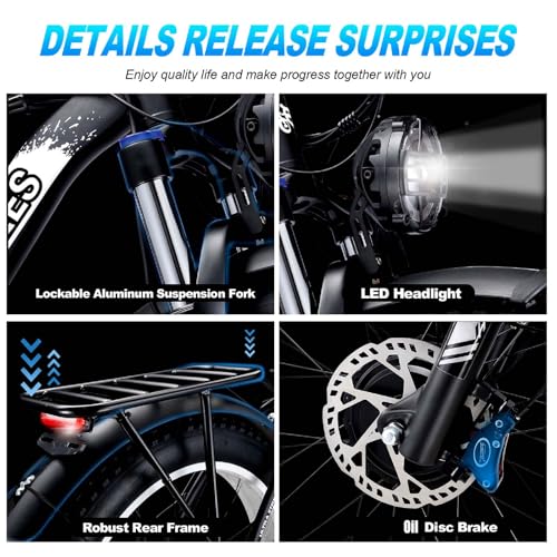 2000W Electric Bike with 48V 20AH Battery 26x4.0 Fat Tire Mountain E Bike Dual Motor 21-Speed Dual Hydraulic Disc Brake B71101