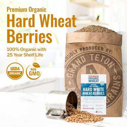 43 lbs Organic Hard White Wheat Berries O331